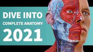 Complete anatomy is a health and fitness app for mac devices developed by complete. Complete Anatomy Access 3d Models Lane Library Blog