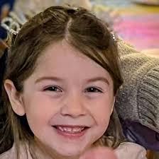 Hit and Run Incident