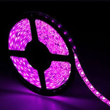 Pink Flexible Strip Light Indoor Home Deco Lights 12v Led String Lights