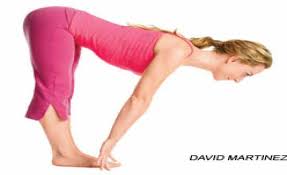 Maybe you would like to learn more about one of these? Human Exercise Yoga Poses Flashcards Flashcards By Proprofs