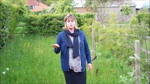See, natural meadows evolve over years and years. Creating A Wild Flower Meadow Youtube