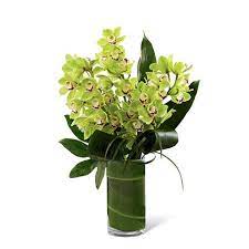 Patrick's day is all about green! 30 Best St Patrick S Day Gifts Send Saint Pattys Day Gifts
