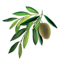 Huile D Olive Extra Vierge De Sicile