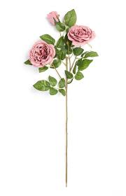 Experte sagt, sie ist „die disruptivste aktie der welt. Purple Single Stem Flowers Home Decor Accessories Home Furnishings Homeware All Primark Products Penneys