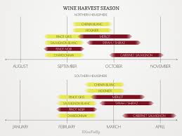 when is wine harvest season wine folly