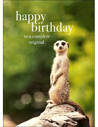 M05 Happy Birthday Greeting Card M05 Happy Birthday Greeting Card Affirmations In 2020 Happy Birthday Animals Happy Birthday Sis Funny Happy Birthday Greetings