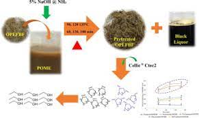We did not find results for: Palm Oil Mill Effluent As The Pretreatment Solvent Of Oil Palm Empty Fruit Bunch Fiber For Fermentable Sugars Production Sciencedirect