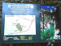 Safari Sri Lanka Horagolla National Park Sri Lanka One Of The L National Parks Park National