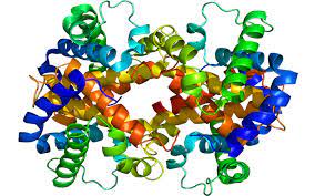 Pdbe is the european resource for the collection, organisation and dissemination. To Celebrate 40th Anniversary The Protein Data Bank Returns To Its Birthplace Cold Spring Harbor Laboratory