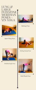 Yin Yoga Large Intestine Meridian Poses Myoga Studio Lausanne Yin Yoga Poses Yin Yoga Sequence Yin Yoga