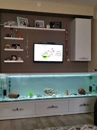 42 Astonishing Aquarium Design Ideas For Indoor Decorations In 2020 Aquarium Design Wall Aquarium Homemade Aquarium
