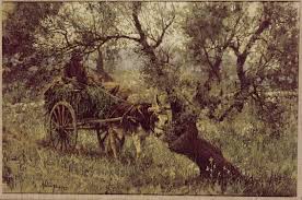 The Olive Grove By Clark Hulings Artwork Painting Great Paintings Art