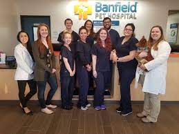 Experience petcare made easy with an optimum wellness plan®. Banfield Pet Hospital Office Photos Glassdoor