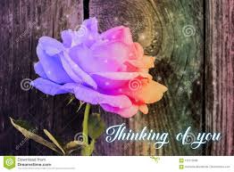 Thinking of you flower the perfect gift to tell someone just how much you care and that they are on your heart. Red Rose Thinking Of You