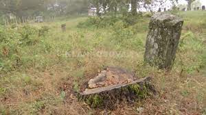 Mirosh kopili (millosh kopiliqi) hero shqiptar. Ku Eshte Varri I Millosh Kopiliqit 03 07 2018 Klan Kosova Youtube