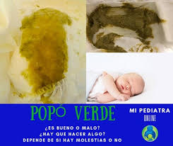 Así, en este artículo de expertoanimal vamos a explicar por qué un gato tiene mocos, listando las causas. Caca Verde En Ninos Y Bebes Hay Que Preocuparse