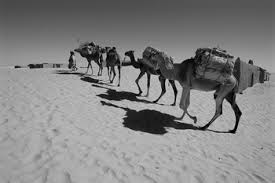 Hurry and sign up for the hinrich foundation newsletter and receive your weekly dose of objective analysis on key international trade issues. Regional Study Trans Saharan Trade Chapter 24 The Cambridge World History