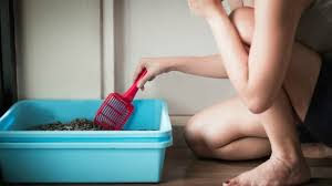 The stuff smells worse than excrement. Angela Brown S Top 10 Odor Removal Machines My Cleaning Connection