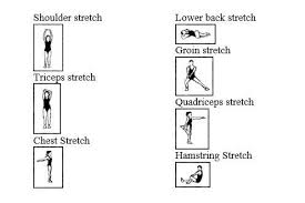 Dynamic Stretching Vs Static Stretching Phyx Performance Dynamic Stretching Static Stretching Dynamic Warm Up