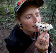 Fall Foray is on, October 11-13th! Hey all! Yes, the foray is on, but we  are low