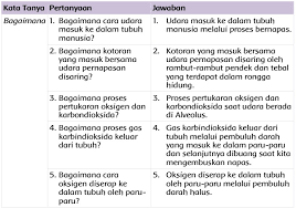 Materi Dan Kunci Jawaban Tematik Kelas 5 Tema 2 Subtema 1 Halaman 16 17 18 19 20 Gawe Kami