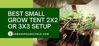 Maybe you would like to learn more about one of these? Best Small Grow Tent 2x2 Or 3x3 Setup To Maximize Yield
