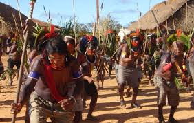 Compare indigene, ancient greek ἐνδογενής (endogenḗs, born in the house), and the separately formed endogenous. Un Body Says Brazil Violating Indigenous Rights