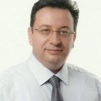 PDF) An Overview of the Experimental Islet Isolation In Human Pancreas