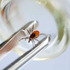 Latest complaints in saddle brook, nj. Pest Control Exterminator In Nj Chemtec Pest Control