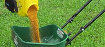 Weeds are always popping up in your lawn going the diy weed control route is an option, but it's also a big commitment that will require a lot of. How To Make Natural Safe Homemade Weed Killer The Garden Glove