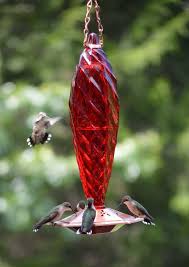 Shop for hummingbird feeders in bird feeders. Shop For Hummingbird Decorative Feeders Beautiful Glass Feeders
