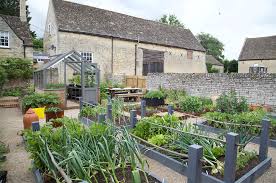 5 Tips For Growing Your Kitchen Garden With Adam Frost Lincolnshire Pride Kitchen Garden Planting Pots Vegetable Garden Design