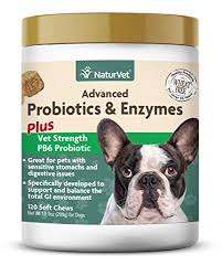 Buy vitamins, supplements, herbs & more. Best Dog Probiotics Buying Guide Gistgear