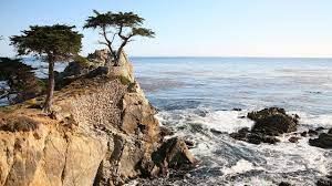 Just two miles off, and with good connectivity, you can easily hail a cab or uber from our convenient hotel at a reasonable cost. Monterey Carmel And 17 Mile Drive Day Trip From San Francisco Youtube