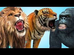 Lion Tiger Gorilla Cartoon Animals Finger Family Song More 3d Nursery Rhymes For Children Kids Youtu Cartoon Animals Kids Nursery Rhymes Finger Family Song