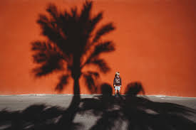 Milky way moon mountains mushroom night ocean palm paradise park rain reflection river road rocks sand sea sky snow spring stars storm summer sun sunrise sunset tornado tree twilight under water volcano waterfall wave winter. Boy Standing Against A Red Wall With The Shadow Of A Palm Tree Photograph By Cavan Images
