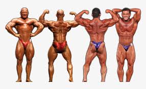 I am not going to be covering exercises in this video, and i am going to use the more common known names of the muscles whenever possible. Transparent Muscles Bodybuilder Posing Trunks Bodybuilding 800x423 Png Download Pngkit