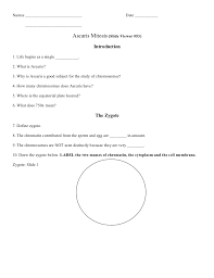 Maybe you would like to learn more about one of these? Mitosis Activity Worksheet