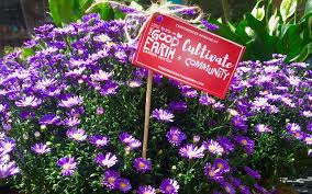 Start checking them out and you'll be out on the. Voted The Most Revolutionary Garden Center In America The Good Earth Garden Center