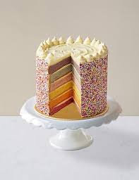 Retro chic or racy cheek? Rainbow Layers Cake Serves 12 Rainbow Layer Cakes Cake Servings 16th Birthday Cake For Girls