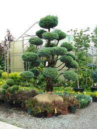 Accents which are known to add a powerful punch of color and interest to any setting, we have outdoor faux topiaries that will add style and. Remarkable Landscaping Ideas And Insight For Noticeable Results Topiary Trees Topiary Plants Topiary Garden