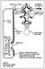 3 Wire Ceiling Fan Wiring