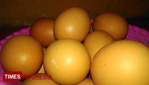 Berikut ini daftar harga bibit ayam joper di tahun 2021 kata terkait : Dampak Covid 19 Peternak Di Magetan Kelimpungan Akibat Harga Telur Ayam Anjlok Times Indonesia