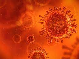 The delta plus variant of the novel coronavirus. 70 Cases Of Delta Plus Variant Found In Genome Sequencing In India Lok Sabha Told The Economic Times