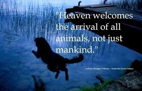 A Wise One Once Said Animal Quotes Heaven Dog Quotes