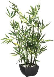 En este consejo de decoración vamos a realizar un centro para la terraza o el balcón con bambúes de la variedad fargesia y soleirolia en la. Planta Bambu Artificial Con Maceta Negra Con Piedras Decoracion De Interior Realista 120 Cm