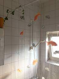 Transparent Shower Curtain Spirella Goldfish Orange Ivy Bathroom Window Home Room Goals Dream Apartment
