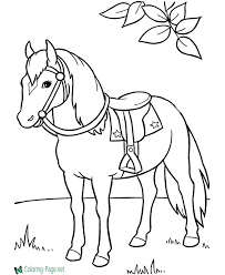 Get to know these animals better with these 10 fun facts about hor. Horse Coloring Pages