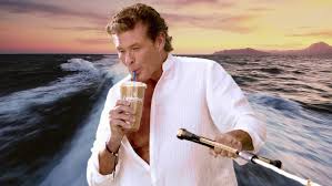 Wisdom from the original #baywatch badass himself @davidhasselhoff what an honor to meet #thehoff pic.twitter.com/oqswqtbpdh. David Hasselhoff Joins Sharknado 3