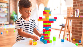Lego Freebuild